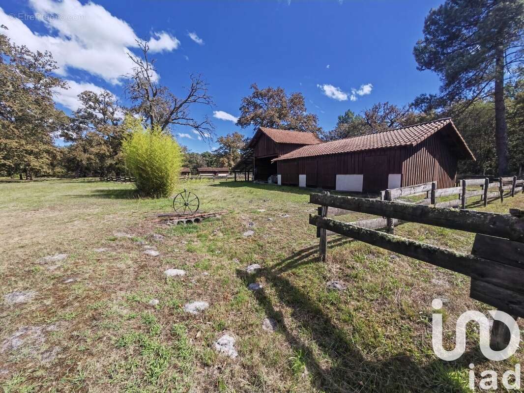 Photo 5 - Maison à LUXEY