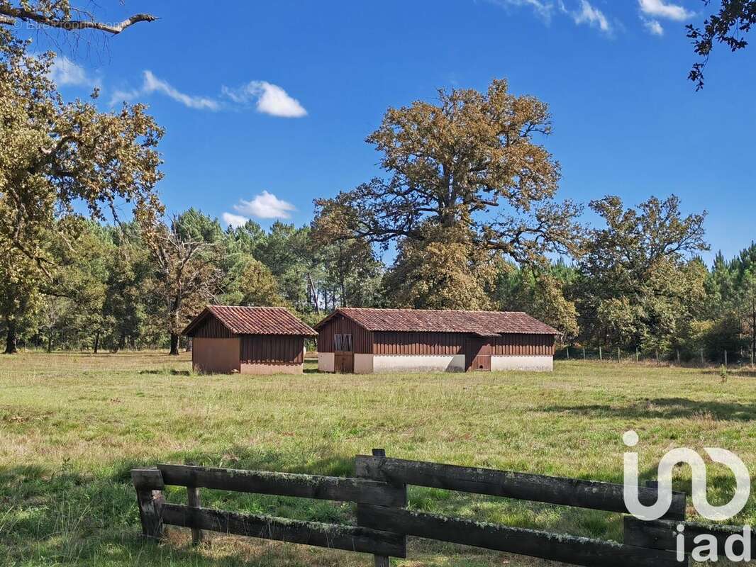 Photo 6 - Maison à LUXEY