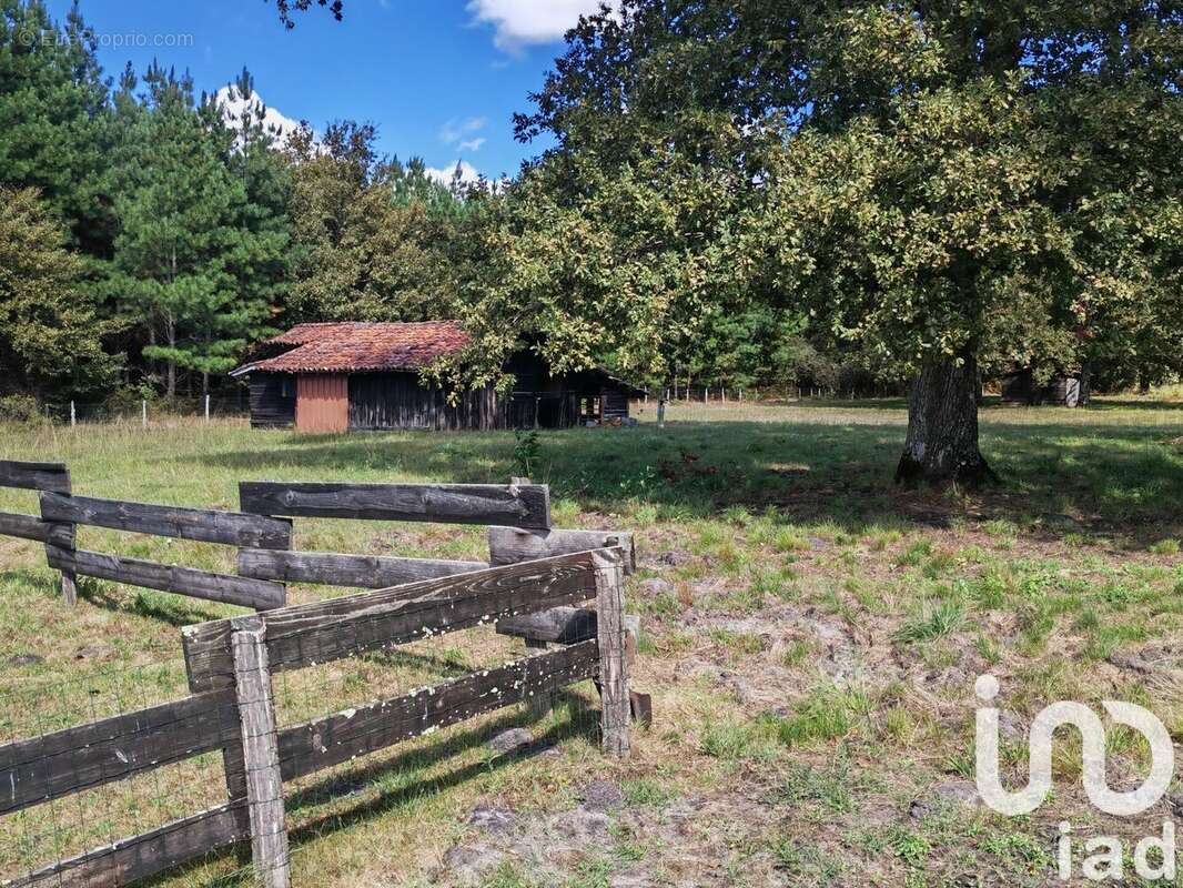 Photo 8 - Maison à LUXEY