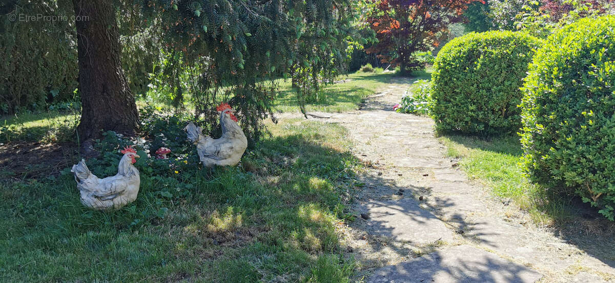 Maison à COLROY-LA-ROCHE