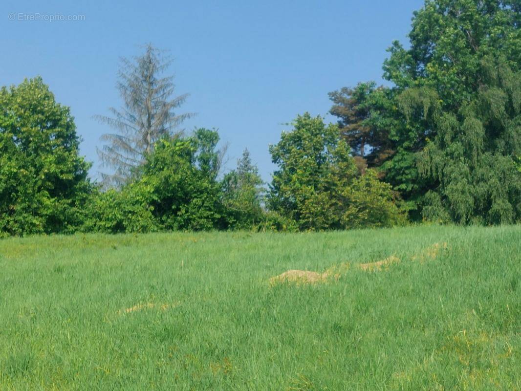 Terrain à PRIMARETTE