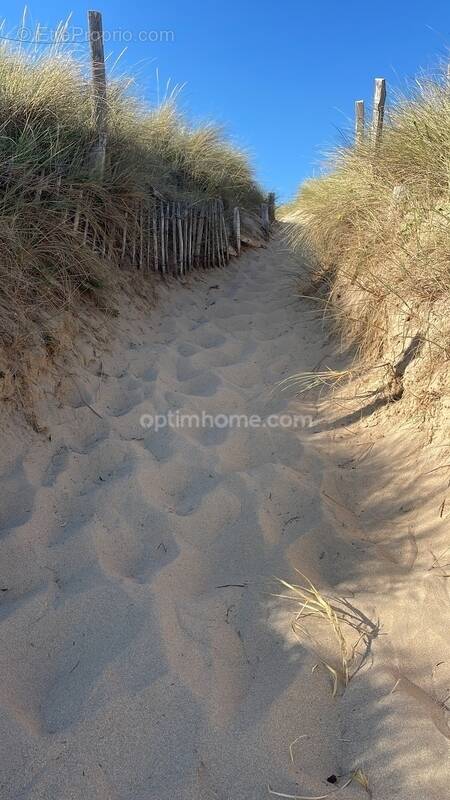 Terrain à SAINT-DENIS-D&#039;OLERON
