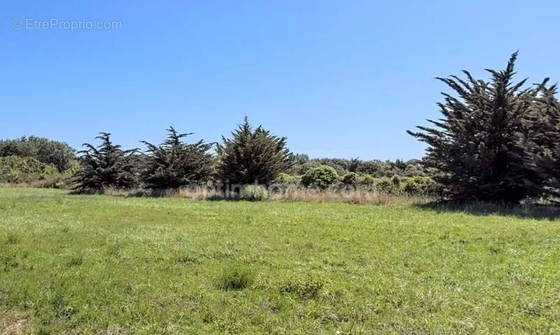 Terrain à SAINT-DENIS-D&#039;OLERON