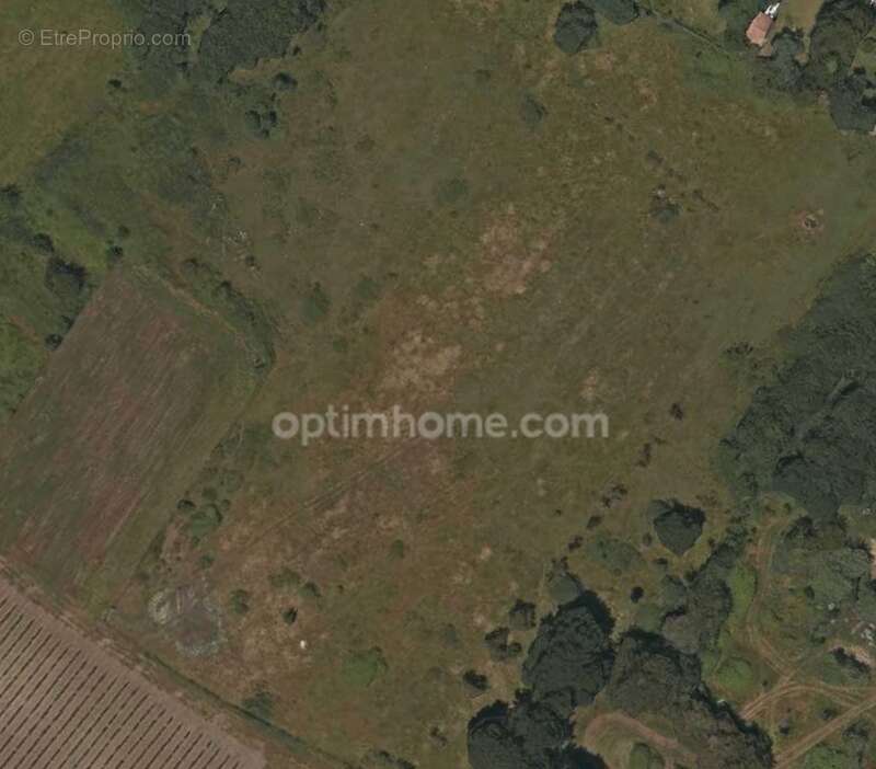 Terrain à SAINT-DENIS-D&#039;OLERON