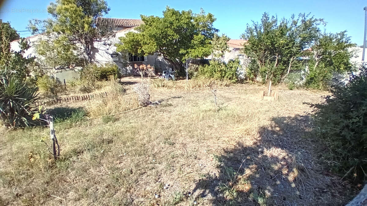 Terrain à SALLES-D&#039;AUDE