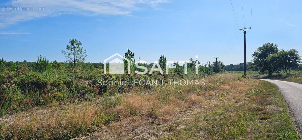 Photo 1 - Terrain à RIVIERE-SAAS-ET-GOURBY
