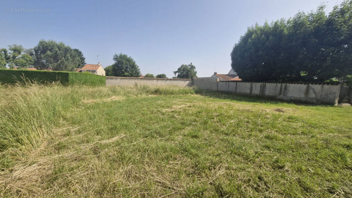 Terrain à MAGNEUX-HAUTE-RIVE