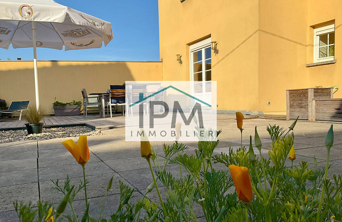 Appartement à TRAENHEIM