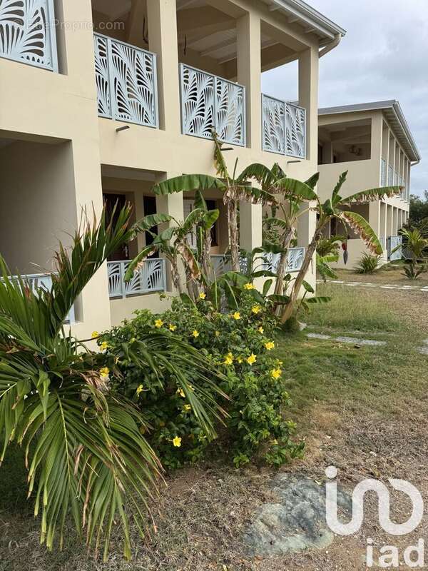 Photo 2 - Appartement à SAINT-MARTIN