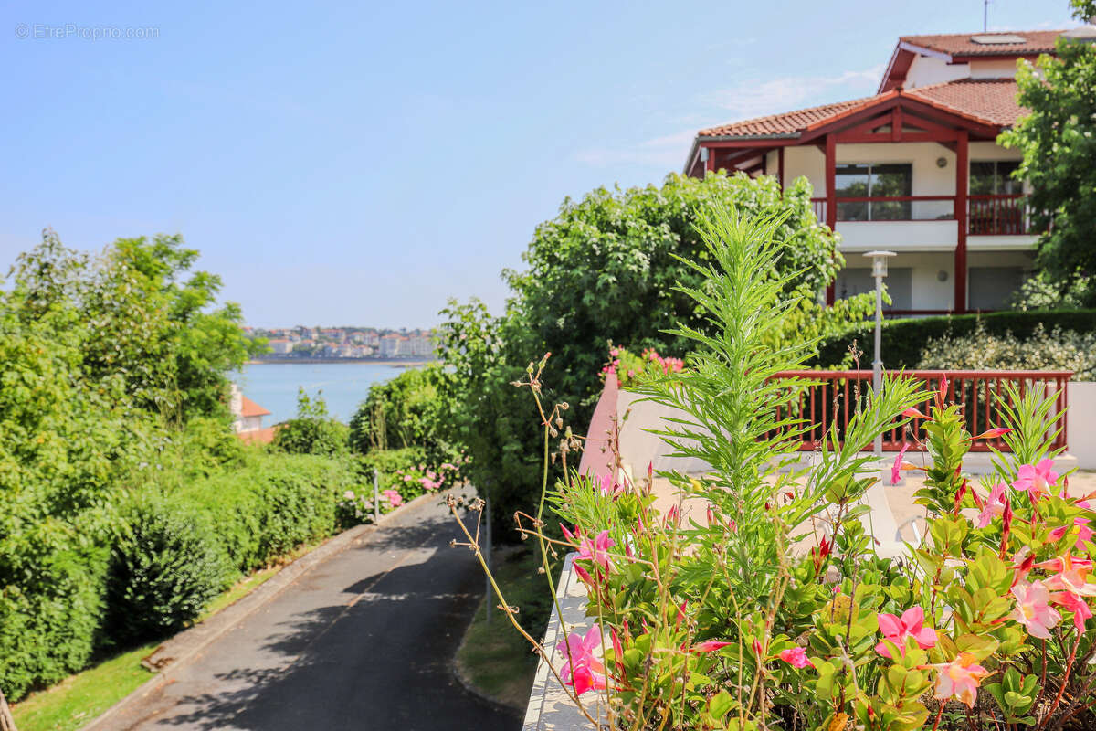 Appartement à CIBOURE