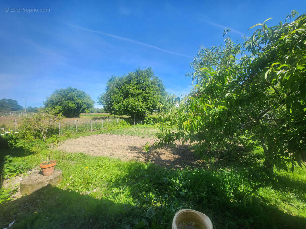 Photo 2 - Maison à DOURNAZAC