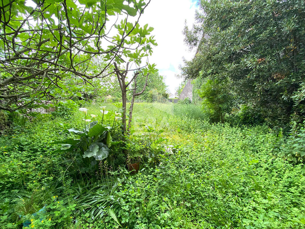 Maison à BORDERES-SUR-L&#039;ECHEZ