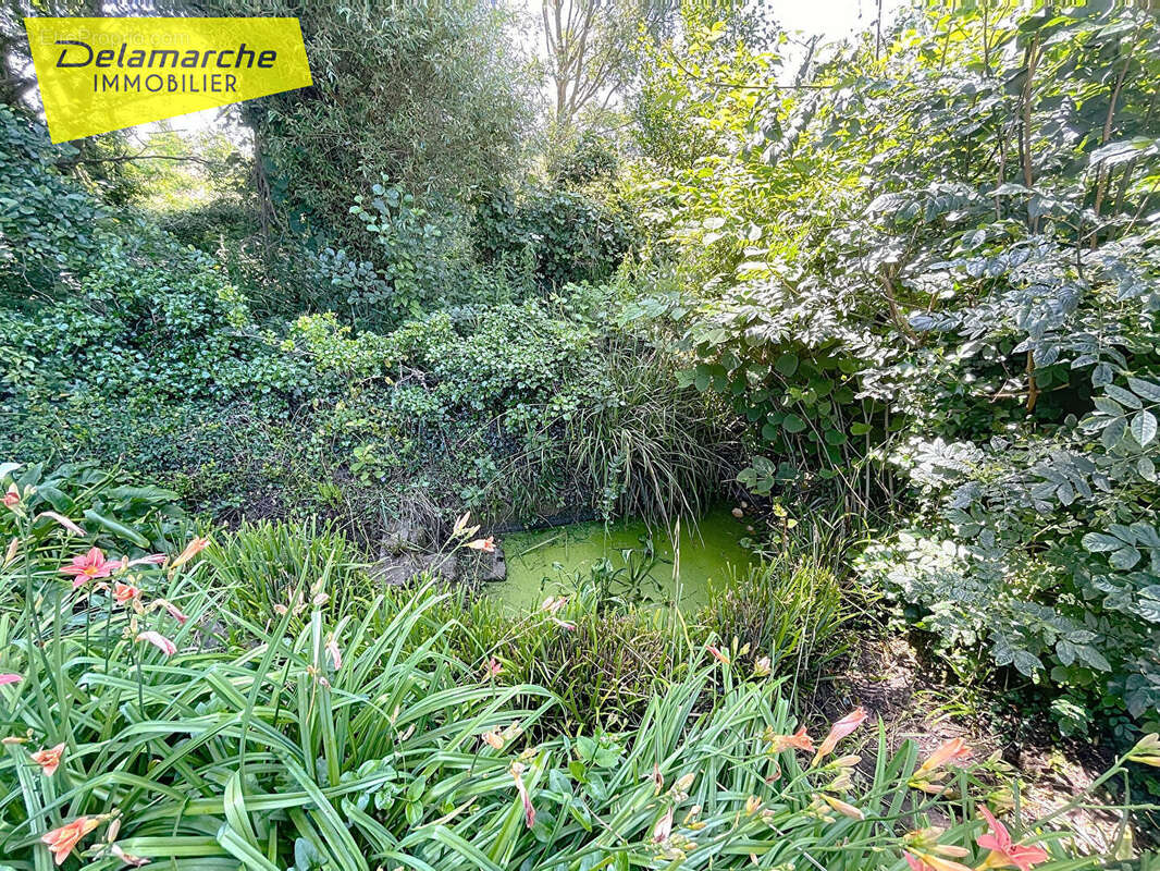 Maison à HAUTEVILLE-SUR-MER