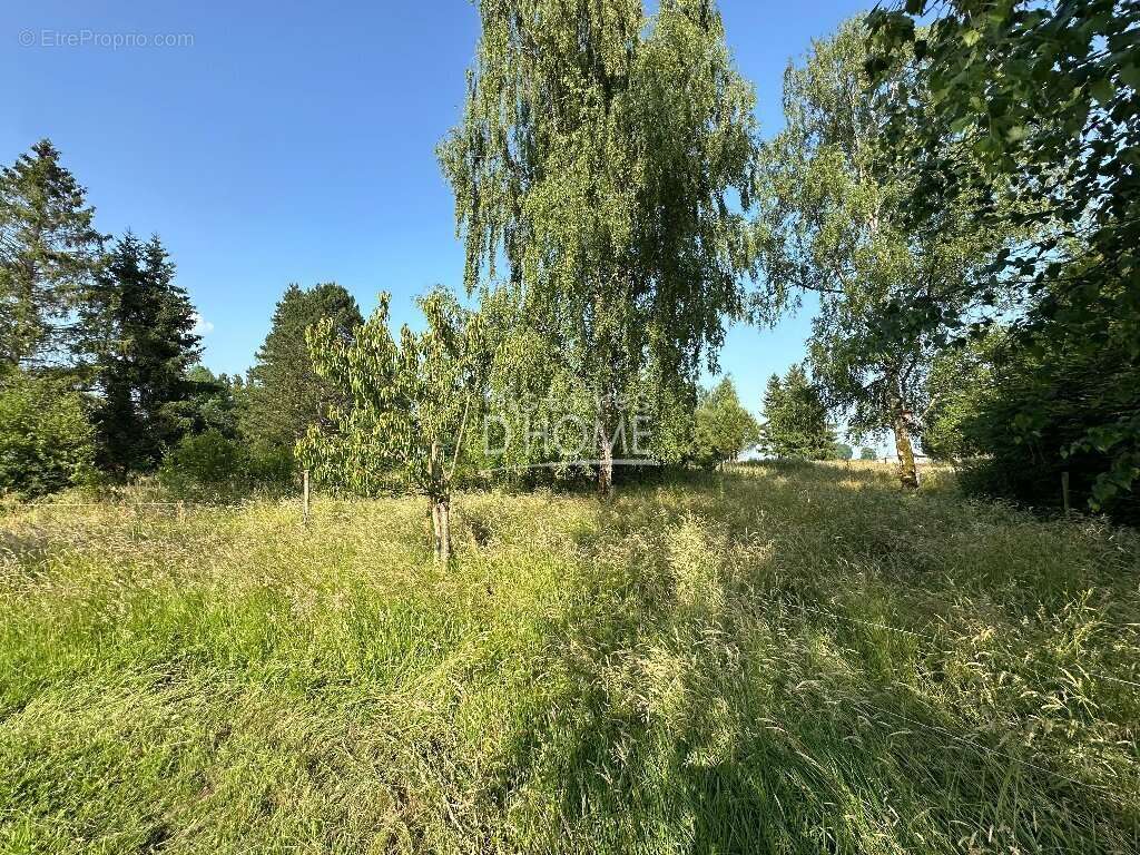 Maison à COULOMMIERS