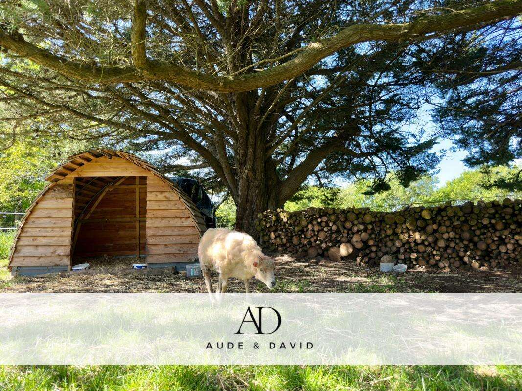 Maison à PONT-L&#039;ABBE
