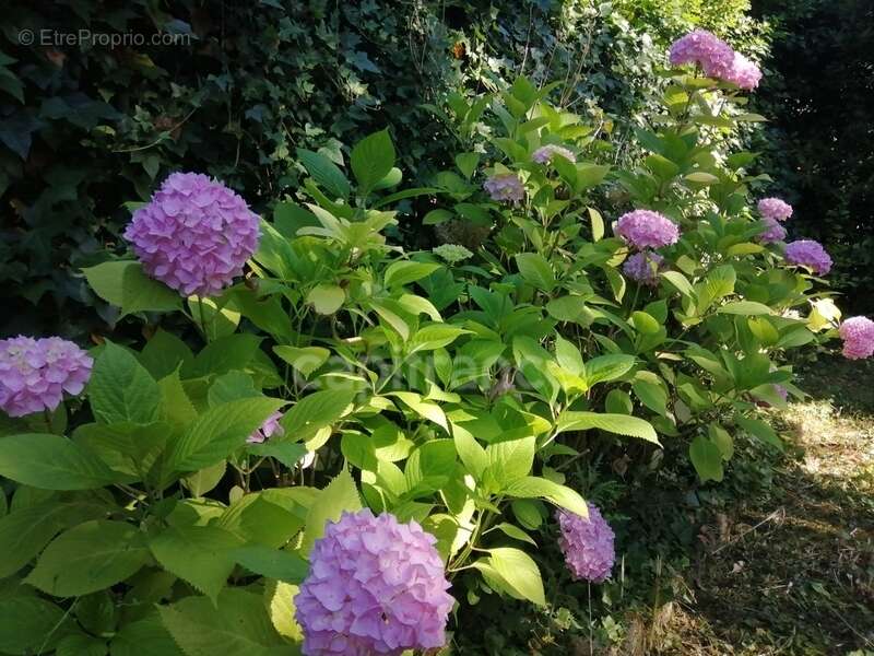 Maison à LOCHE-SUR-INDROIS