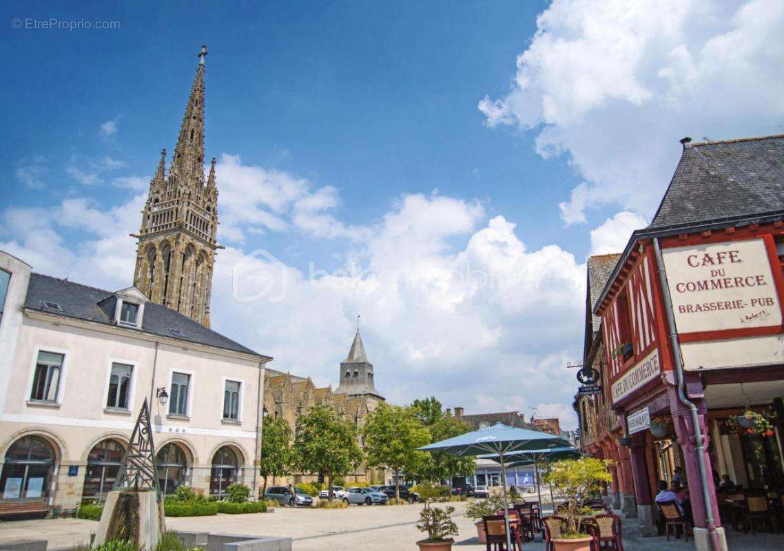 Terrain à LA GUERCHE-DE-BRETAGNE