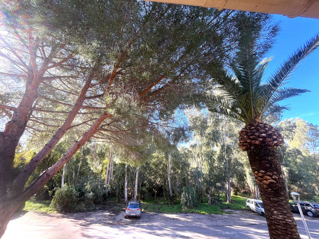 Appartement à CALVI