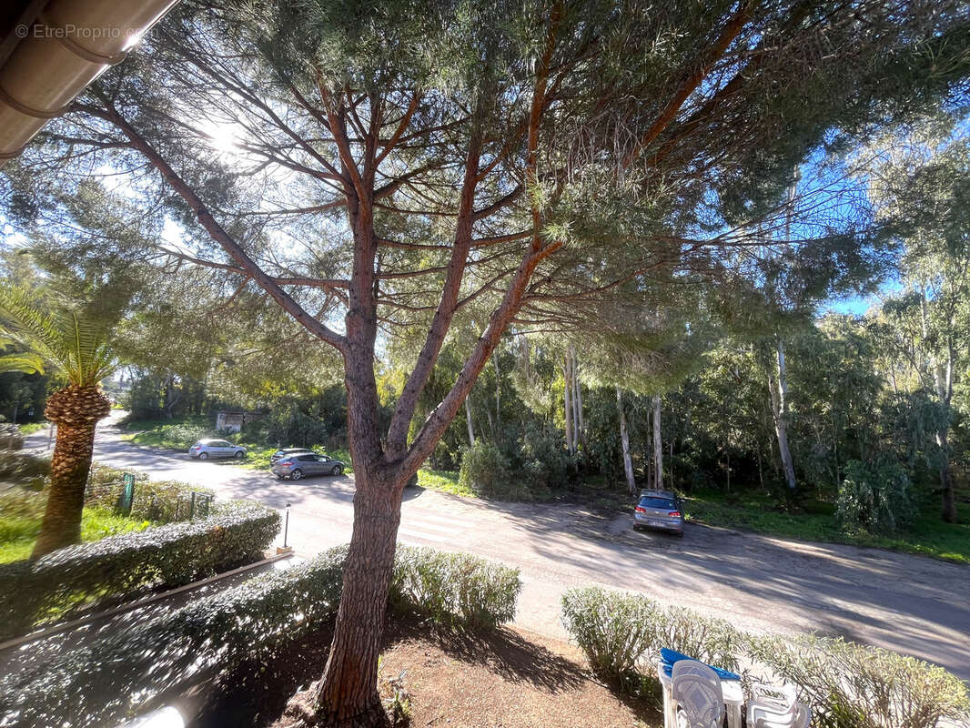 Appartement à CALVI