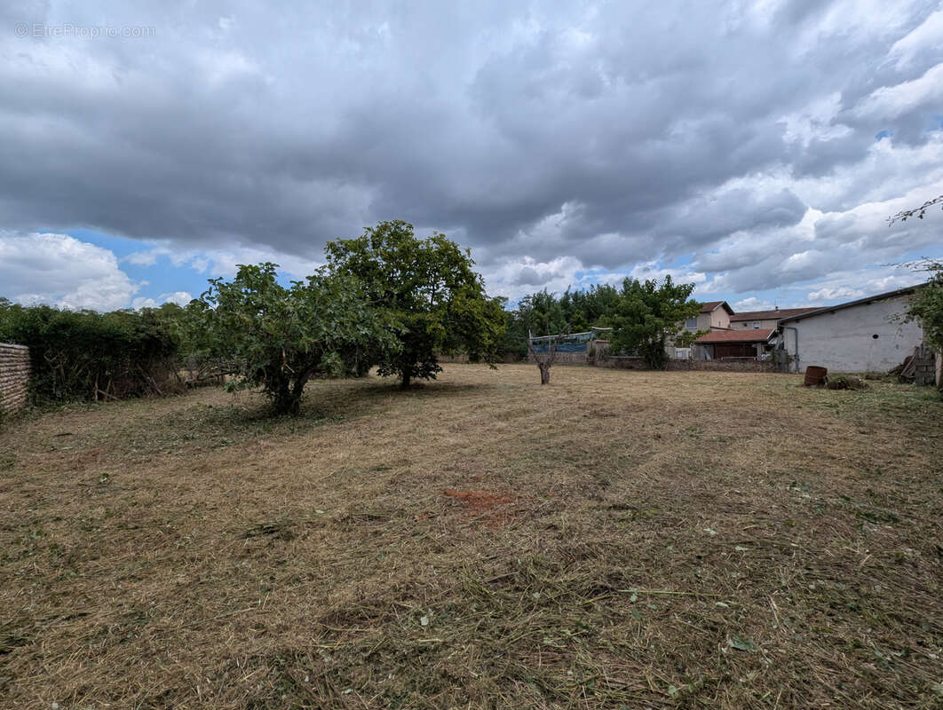 Terrain à ANDANCETTE