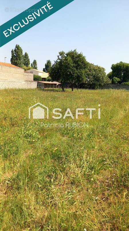 Photo 2 - Terrain à DOLUS-D&#039;OLERON