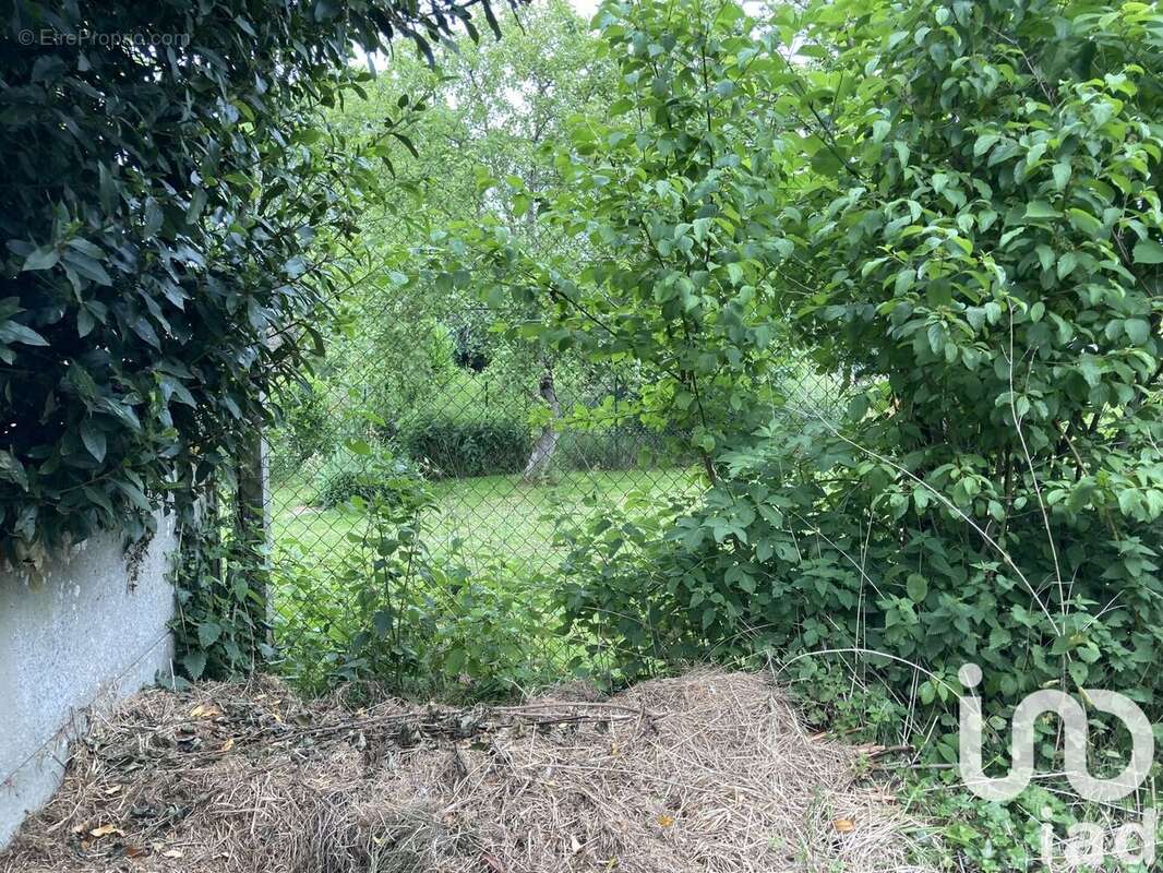 Photo 9 - Maison à SAINT-AUBIN-DE-TERREGATTE