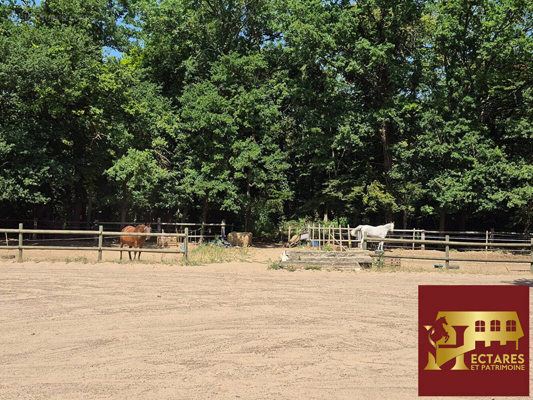 Maison à L'ISLE-ADAM