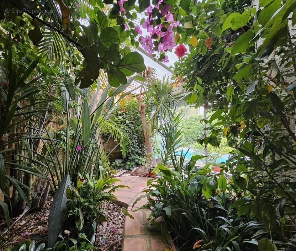 Maison à MONTPELLIER