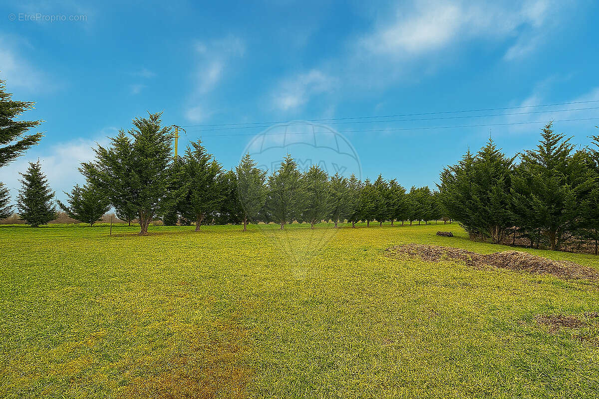 Maison à SAINT-MARDS-EN-OTHE