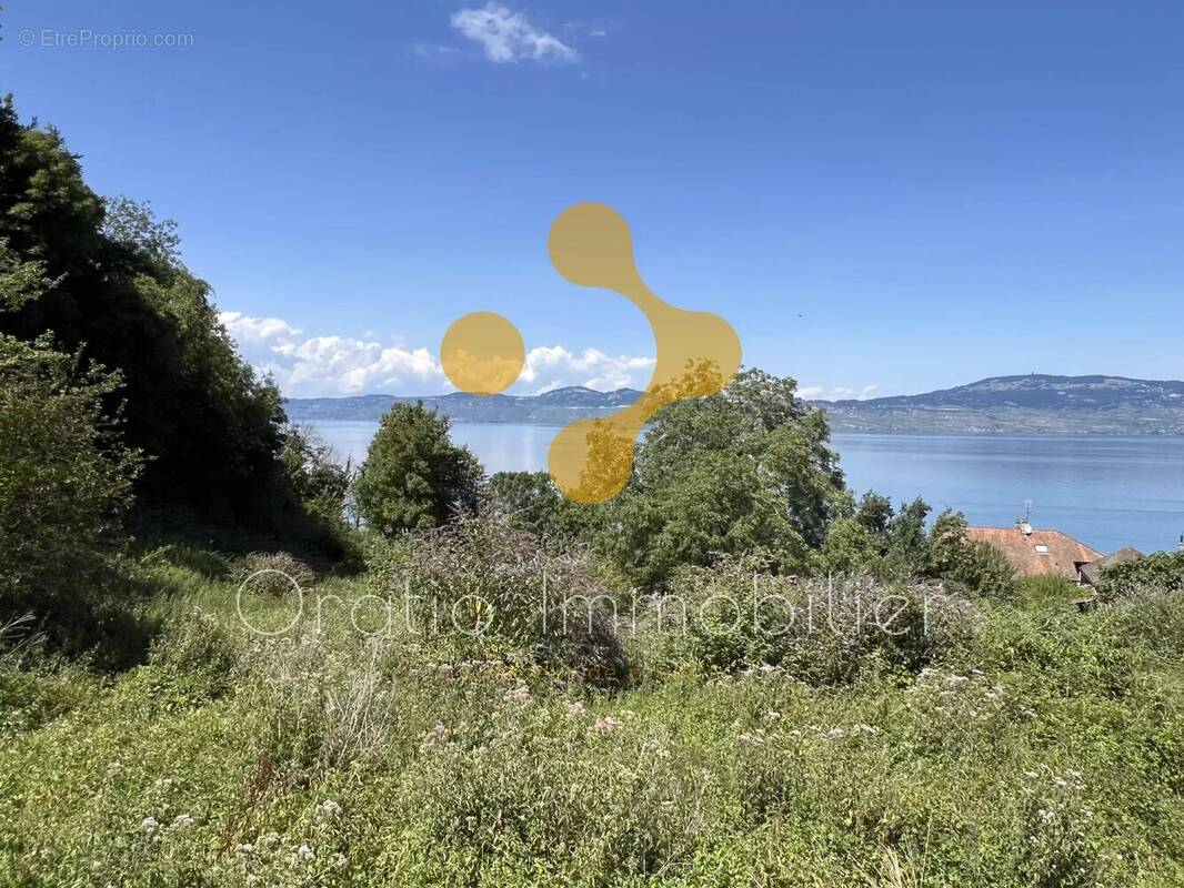 Terrain à MEILLERIE