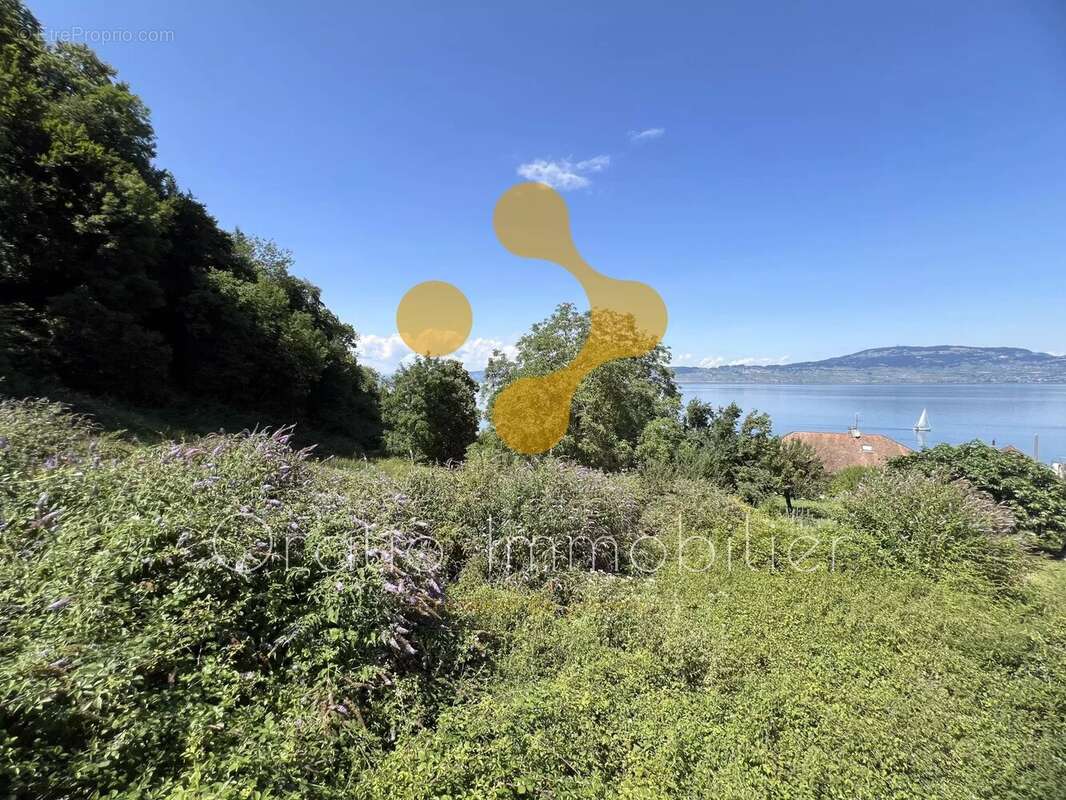 Terrain à MEILLERIE