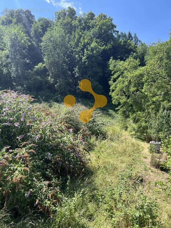 Terrain à MEILLERIE