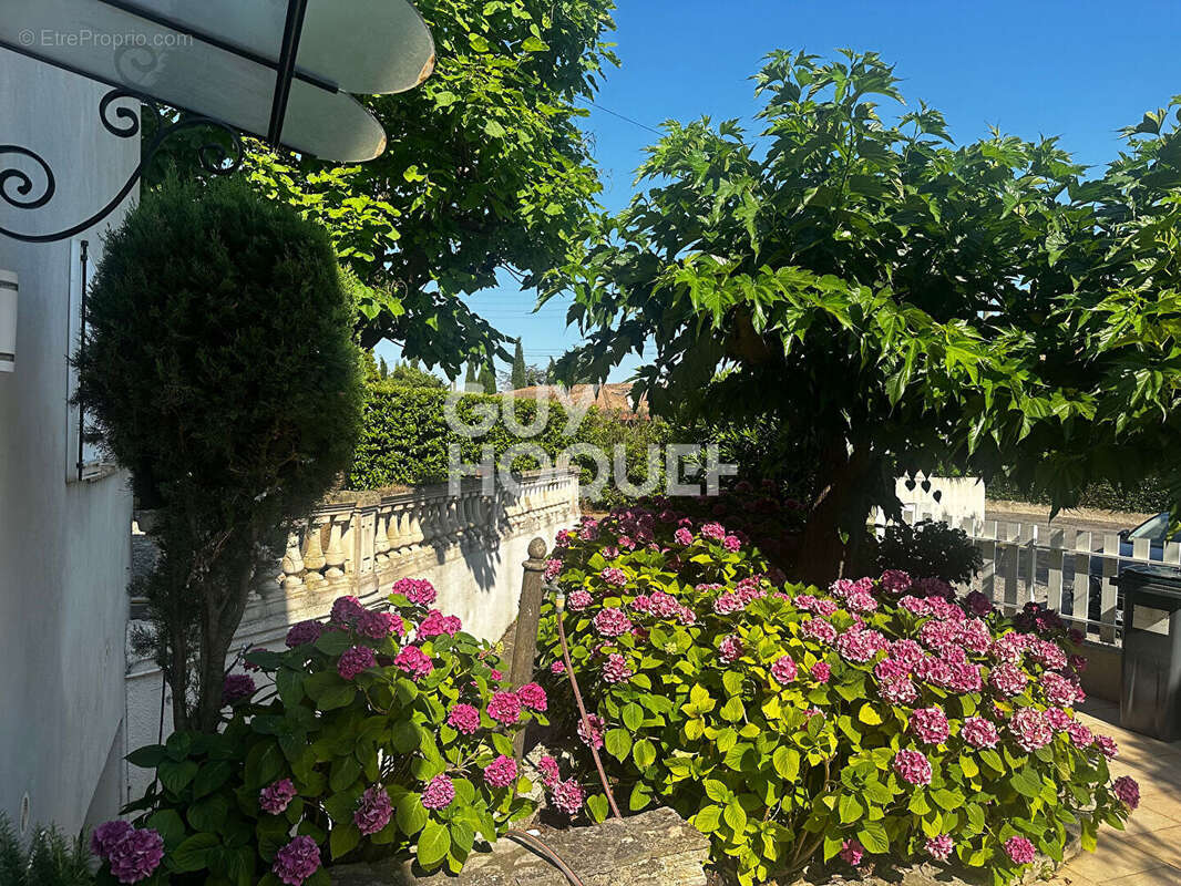 Maison à CARCASSONNE