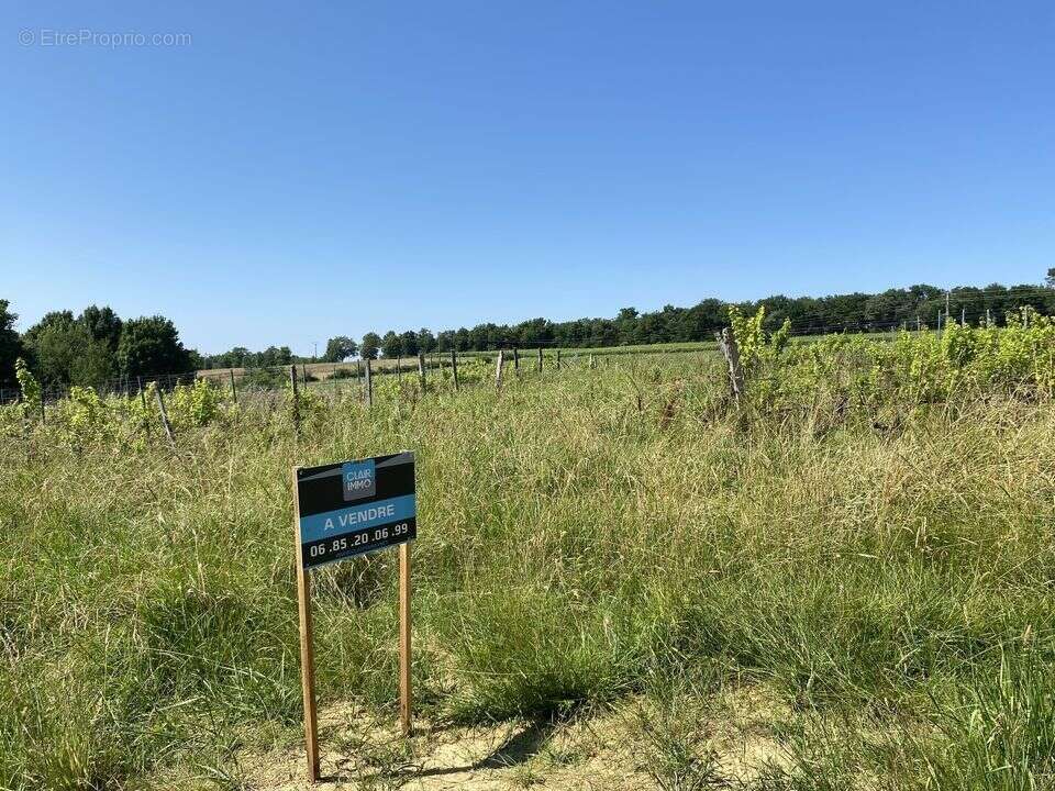 Terrain à CAZAUBON