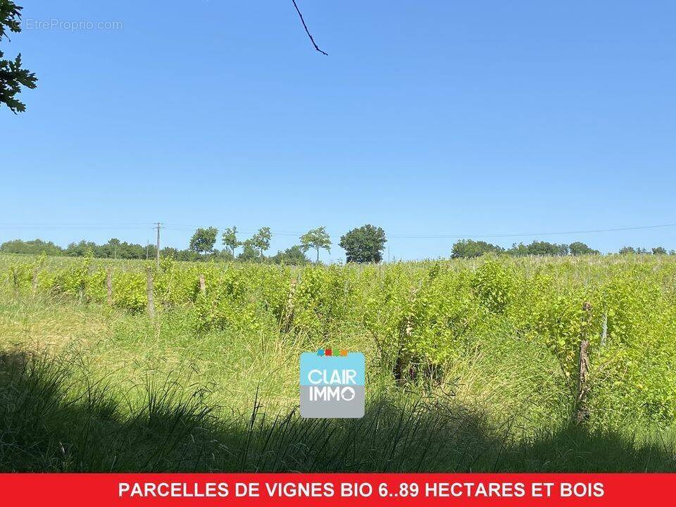 #vignes #gers #bois  - Terrain à CAZAUBON