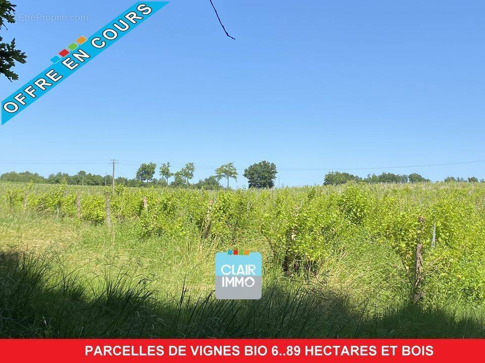 #vignes #gers #bois  - Terrain à CAZAUBON