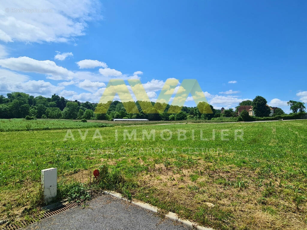 Terrain à ARAUJUZON