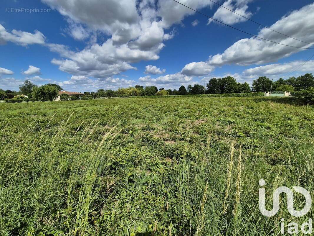 Photo 5 - Terrain à SAINT-PIERRE-D&#039;EYRAUD