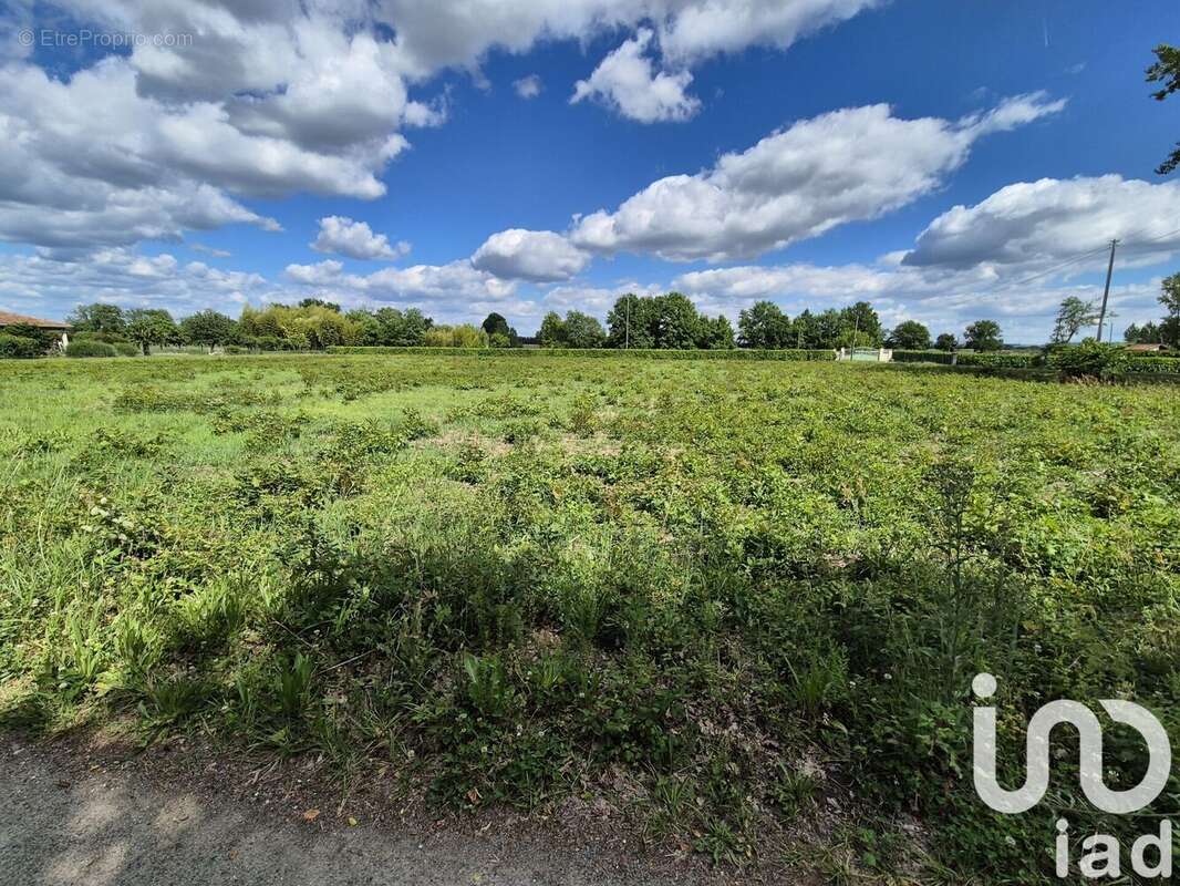 Photo 8 - Terrain à SAINT-PIERRE-D&#039;EYRAUD