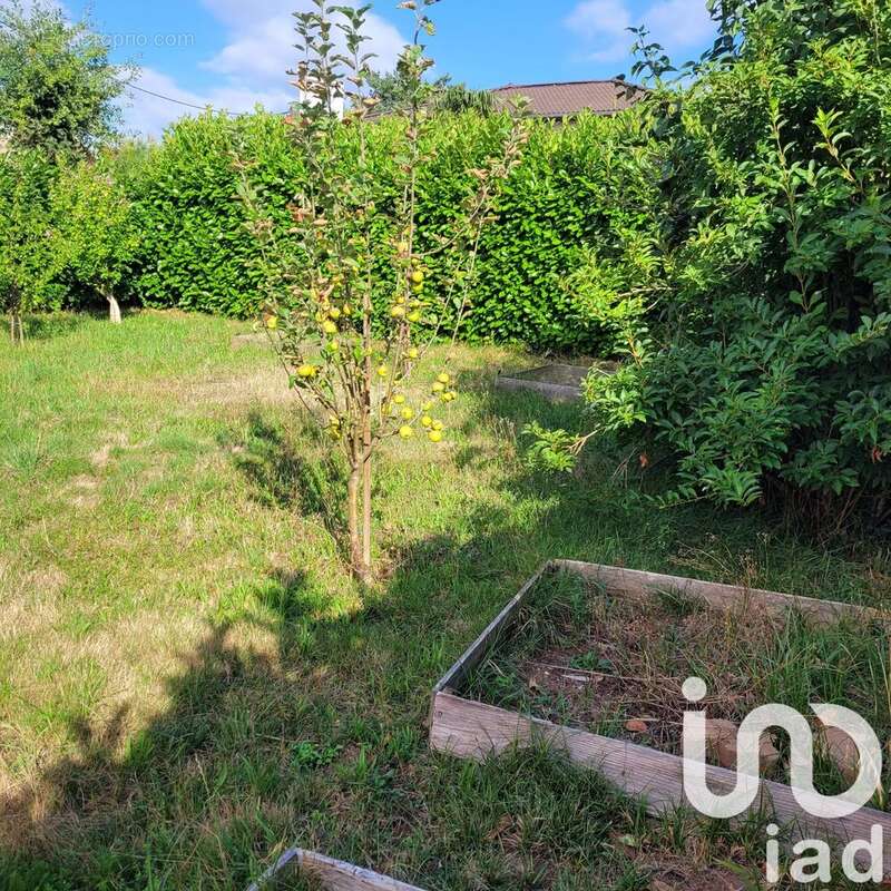 Photo 3 - Maison à L&#039;ARBRESLE