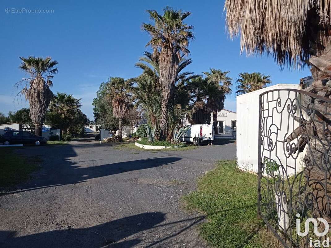 Photo 3 - Commerce à MARSEILLAN