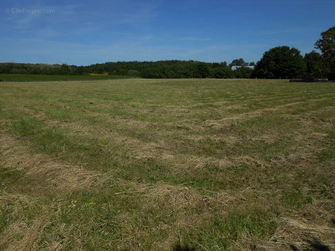 Terrain à ESMOULINS