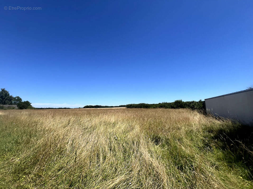Terrain à ESMOULINS