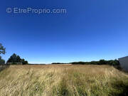 Terrain à ESMOULINS