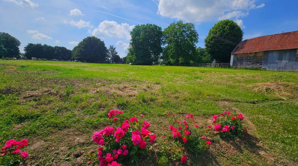 Terrain à AVESNES-LE-COMTE