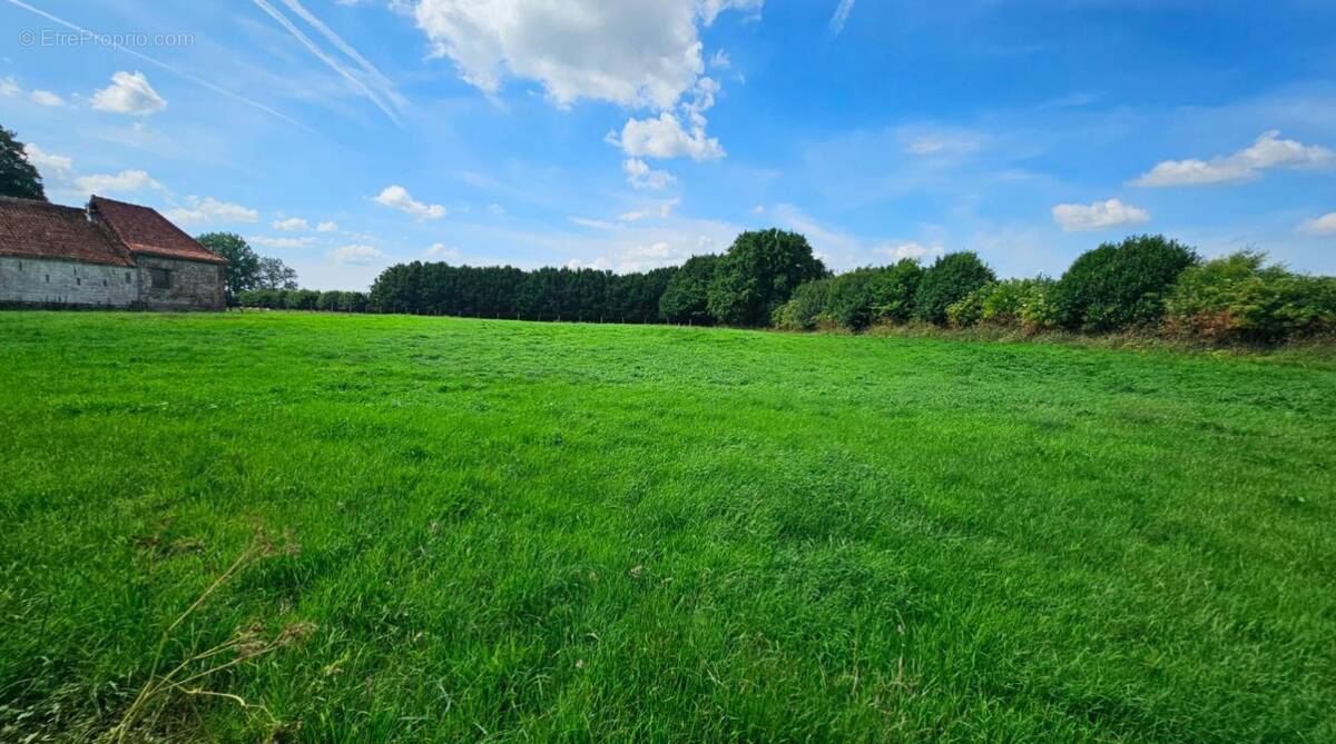 Terrain à AVESNES-LE-COMTE