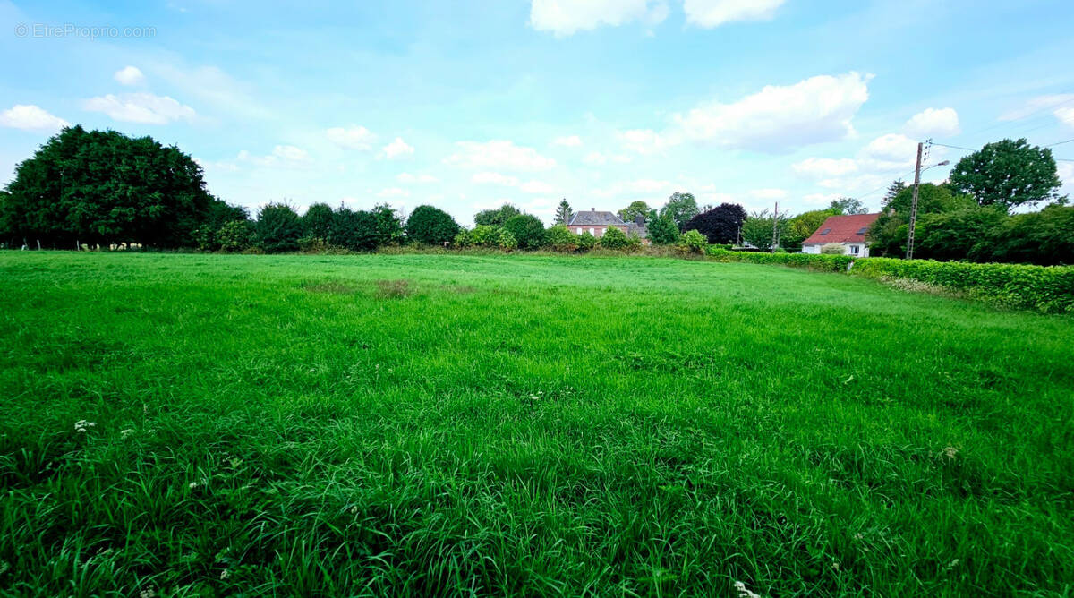 Terrain à AVESNES-LE-COMTE