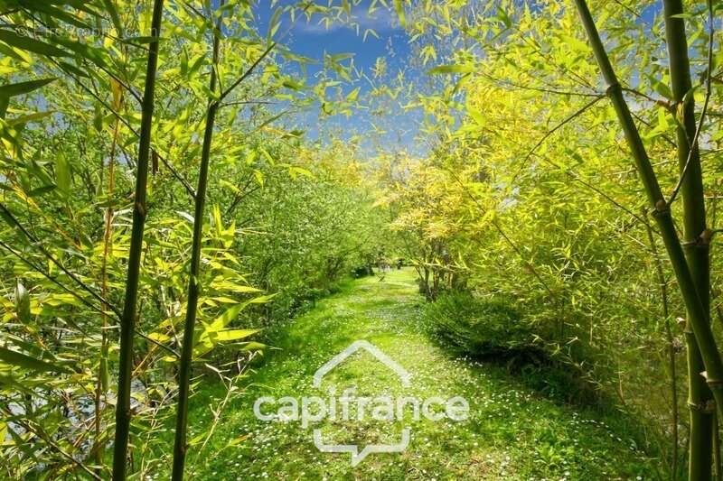 Terrain à SAINT-QUENTIN