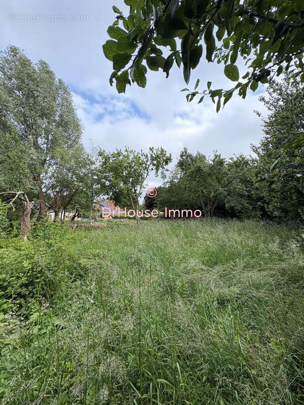 Terrain à LABEUVRIERE