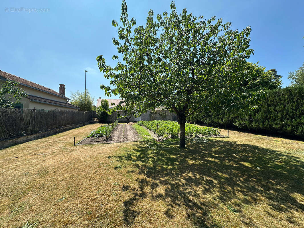 Maison à ONCY-SUR-ECOLE